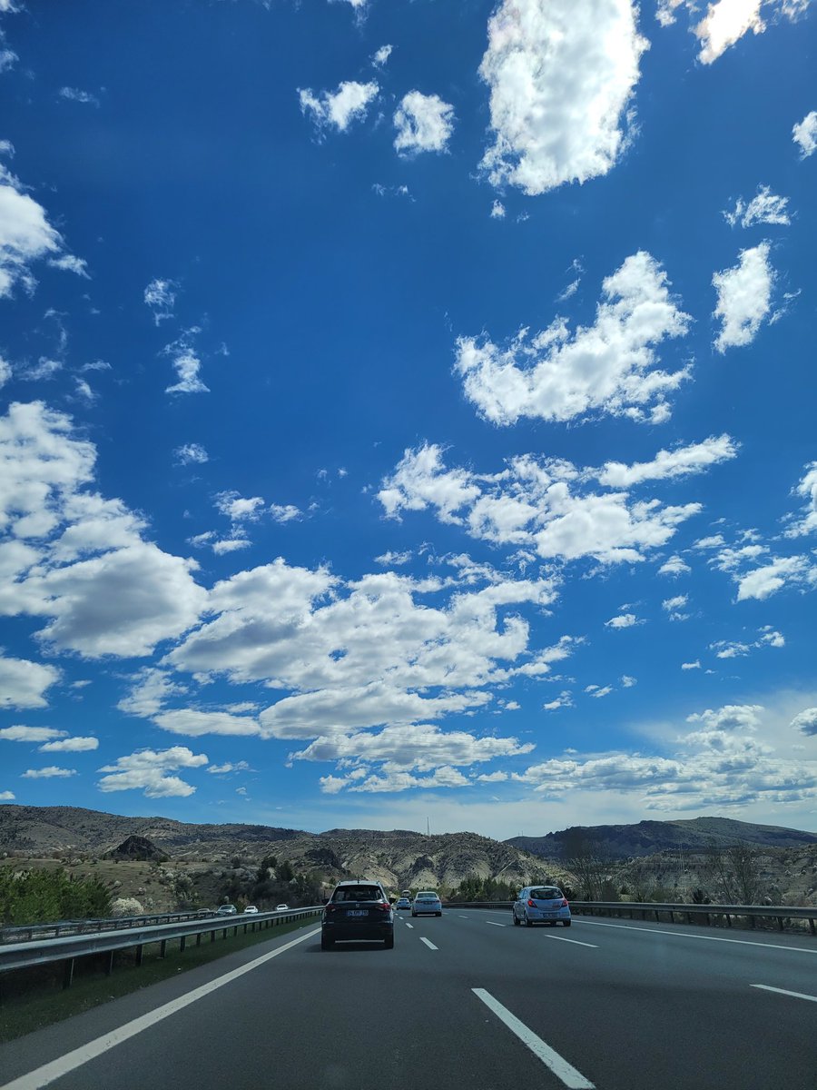 BiterseBitsin tweet media