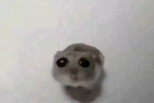 knoknives's tweet image. Hi does anyone want to be mutuals? I do art and stuff
#promotwt #artm