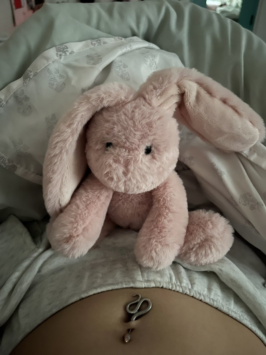 Bunny69666's tweet photo. My bunny pinky says hi 🎀  #nsfwtwtًً #pinkgirl #pink #MEOWCAT https://t.co/hzrMXUylmP