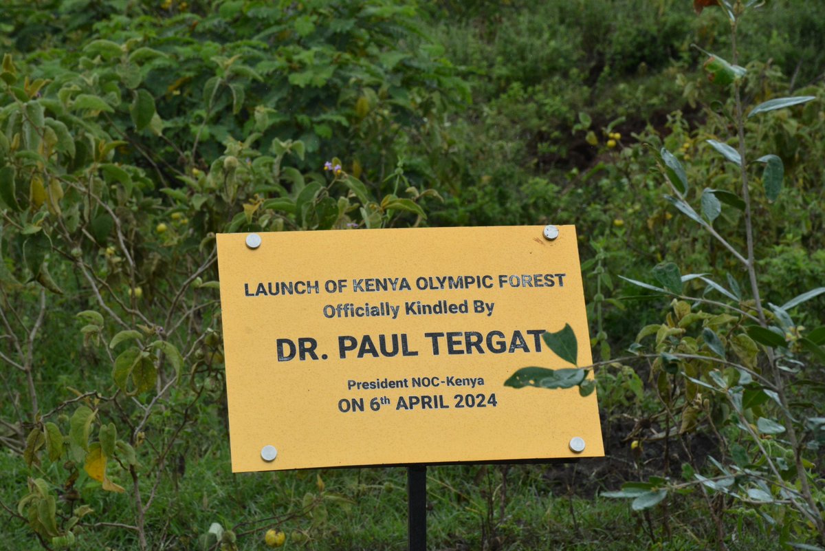 SEI_Africa's tweet image. SEI Africa today joined @OlympicsKe and partners @athletics_kenya and @UNEP_Africa in planting trees to launch NOC-K&apos;s sustainability program coinciding with the @UN  #IDSDP2024, celebrated globally to recognize the positive influence of sports on social and environmental issues.