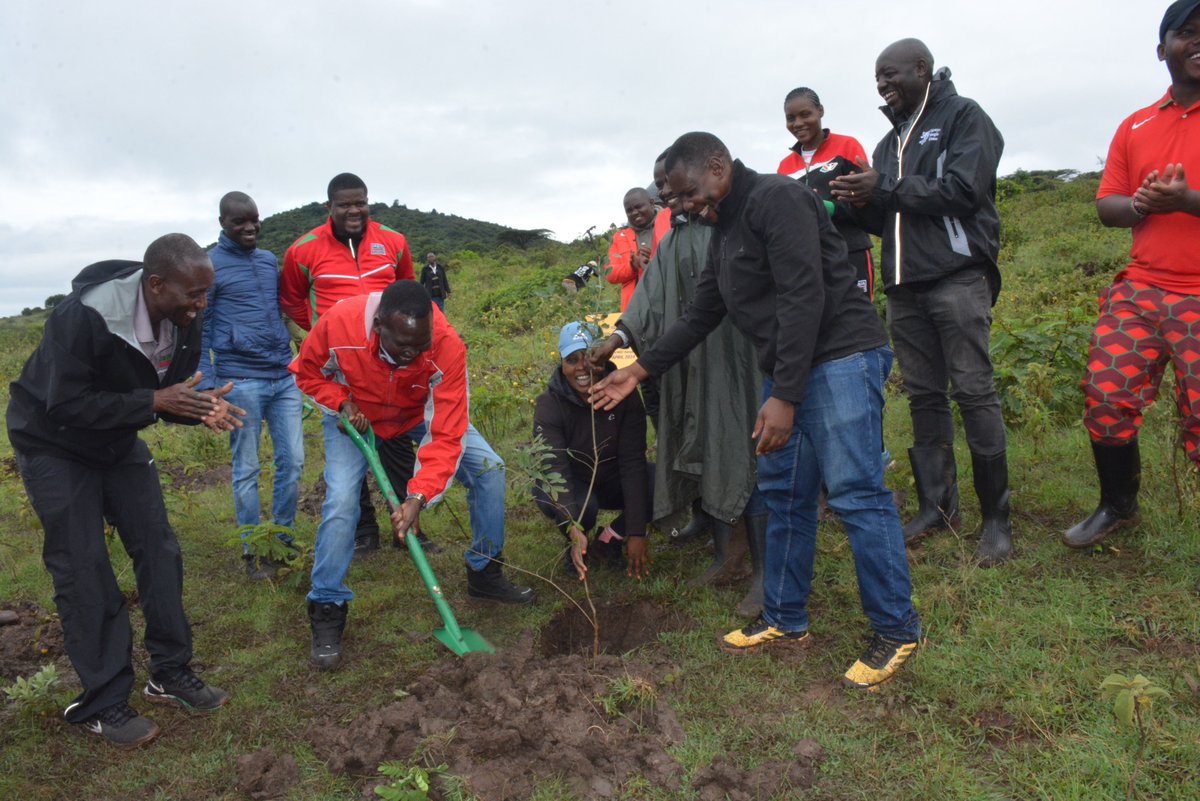 SEI_Africa's tweet image. SEI Africa today joined @OlympicsKe and partners @athletics_kenya and @UNEP_Africa in planting trees to launch NOC-K&apos;s sustainability program coinciding with the @UN  #IDSDP2024, celebrated globally to recognize the positive influence of sports on social and environmental issues.