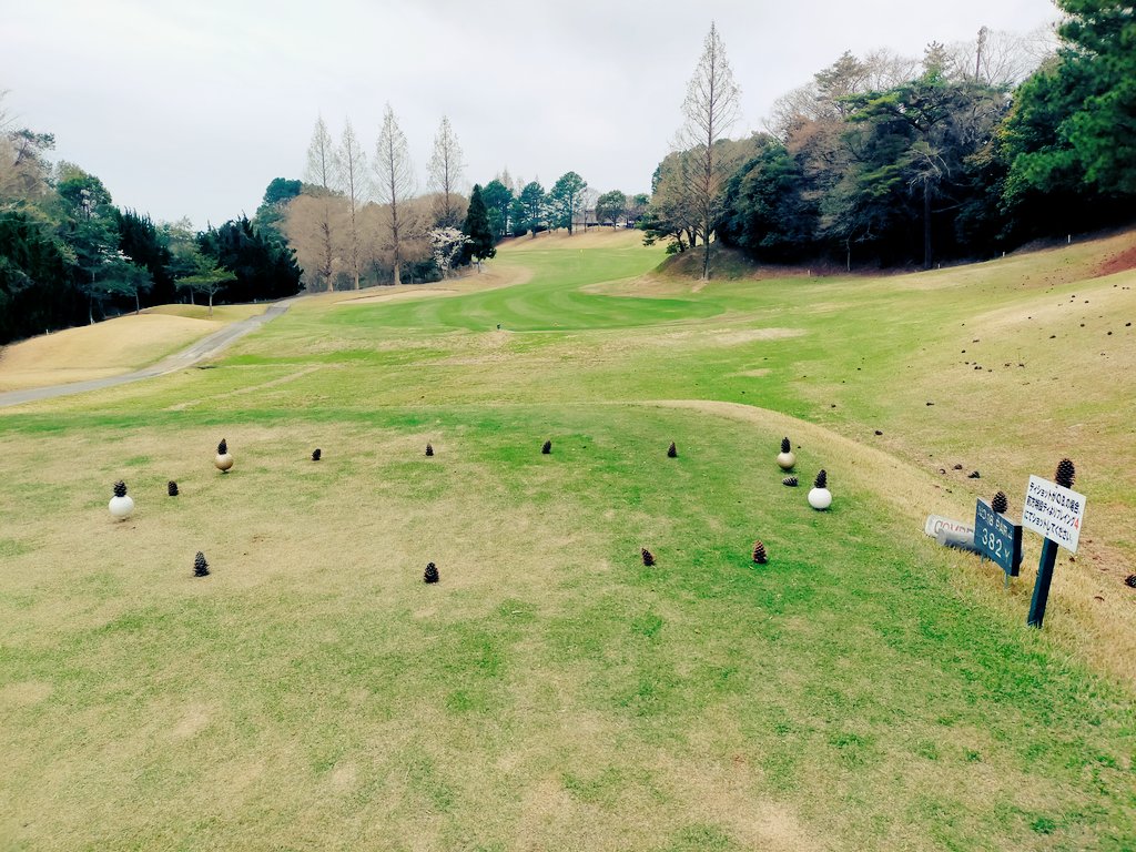 SS44536494's tweet photo. 18番ホールでコログの実発見 https://t.co/VqSoprri8N