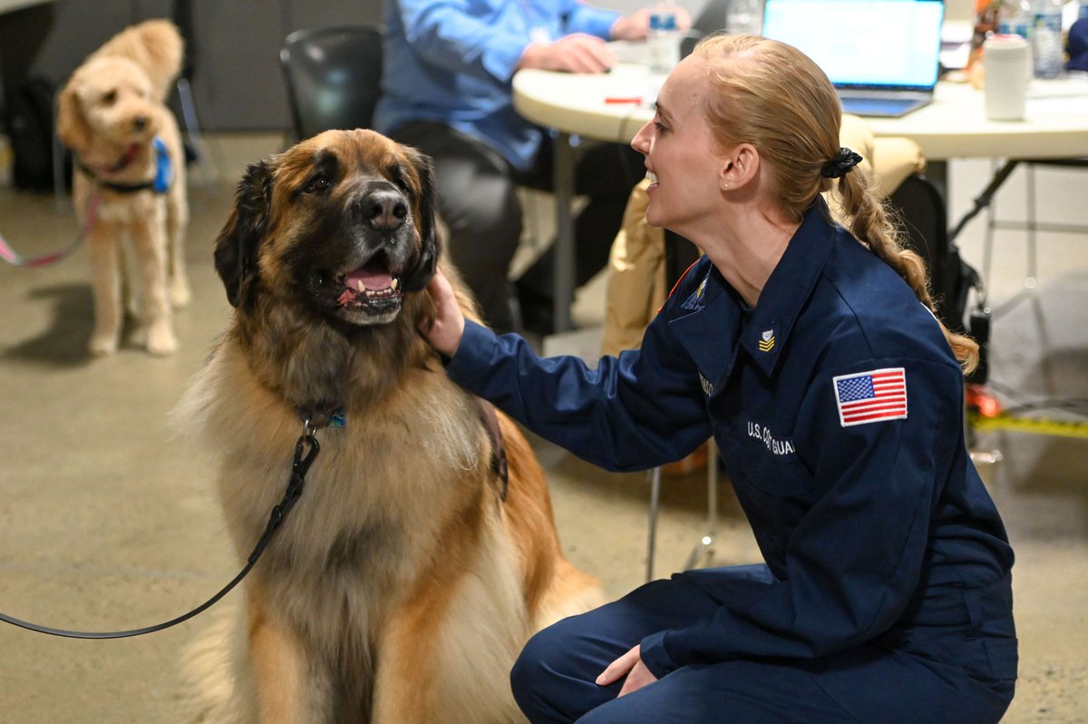 Proceedings Photo of the Week: U.S. Coast Guard Petty Officer 1st Class Lauren Steenson, a Public Information Assist Team member, pets Mac, a therapy dog, at the Francis Scott Key bridge Incident Command Center in Baltimore, Maryland, 2 April.