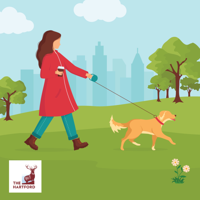 hartfordtalent's tweet image. Can we fool you? How many differences can you spot between these two photos? #AprilFoolsDay #AprilFools #AprilFools2024 #BrainTeaser #IWork4TheHartford bit.ly/43L8Rv5