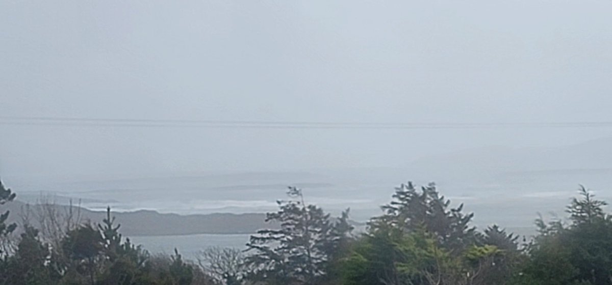 @siobhwithafada.bsky.social (@siobhwithafada) on Twitter photo #Kathleen is blowing wild here in #Schull hoping my precious pollytunnel & young trees hold on! <a href="/boucherhayes/">Philip Boucher-Hayes</a> #Kathleen is blowing wild here in #Schull hoping my precious pollytunnel & young trees hold on! <a href="/boucherhayes/">Philip Boucher-Hayes</a>