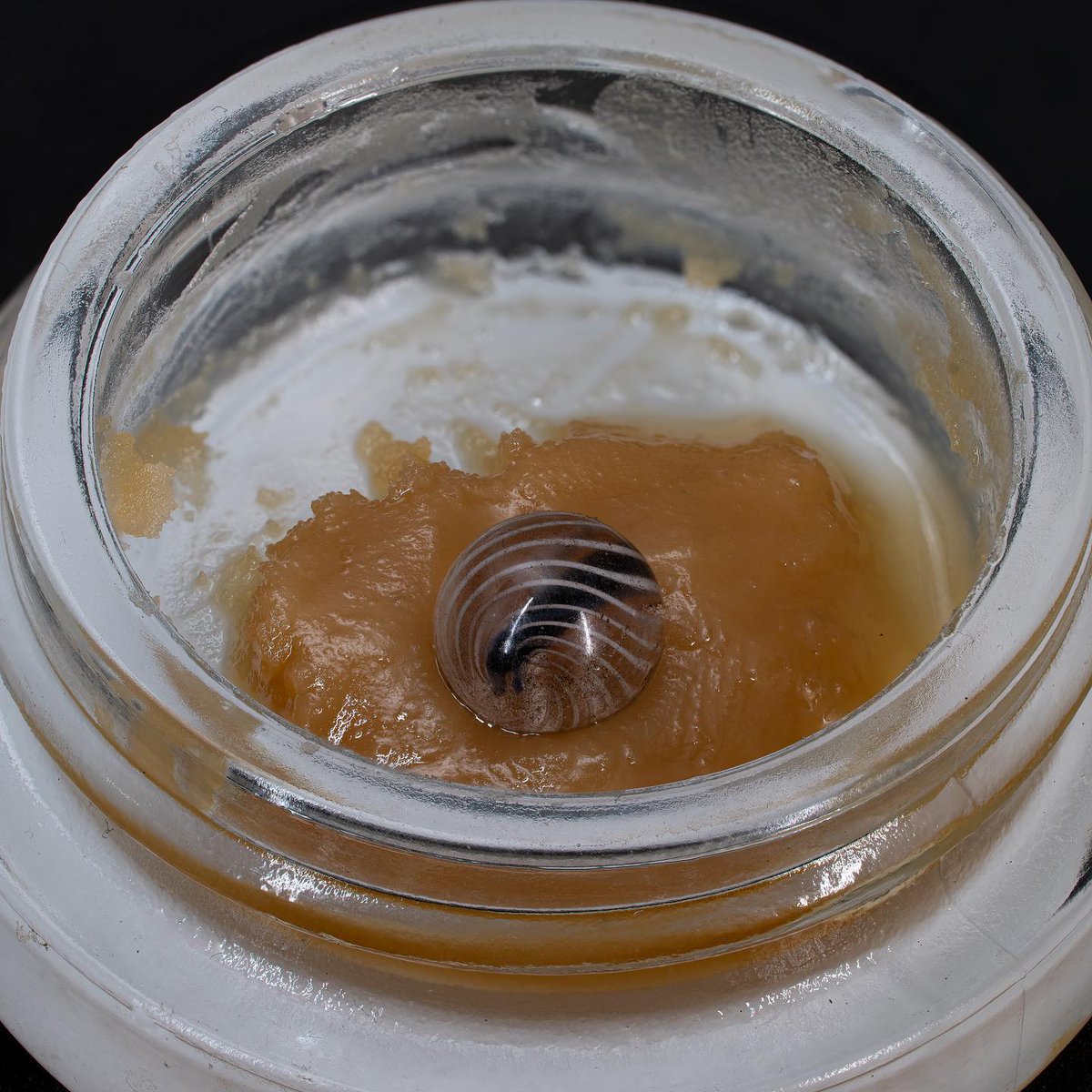 dorindafarms's tweet image. Getting down and dirty with this Watermelon Rush. 😍😍

100% living soil organic. #HappyWeekendGuys 🍁🍁