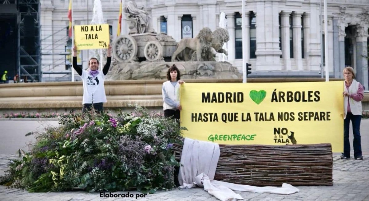 Gracias @greenpeace_esp #NoALaTala #BodaAlmeida #BodorrioAlmeida #AyuntamientoDeMadrid