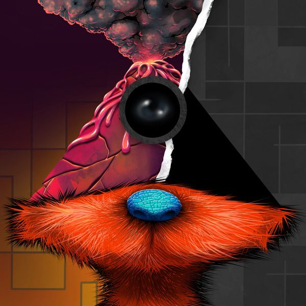 Illuminati memecoin on Solana tweet media