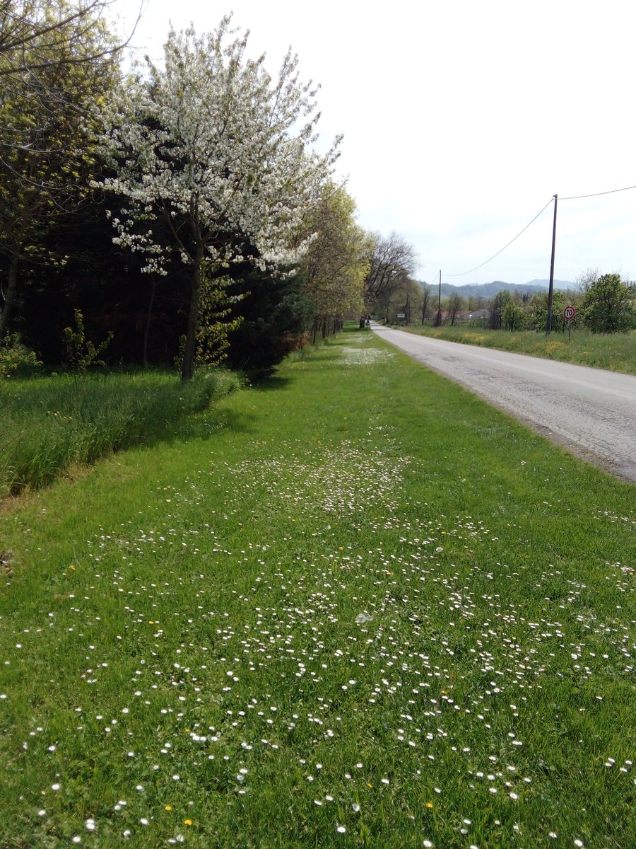 Buon sabato..di bei km sotto le mie scarpe #iocorroqui 10km tirati e divertenti sotto il sole di primavera,tanta energia positiva #runlovers #6aprile