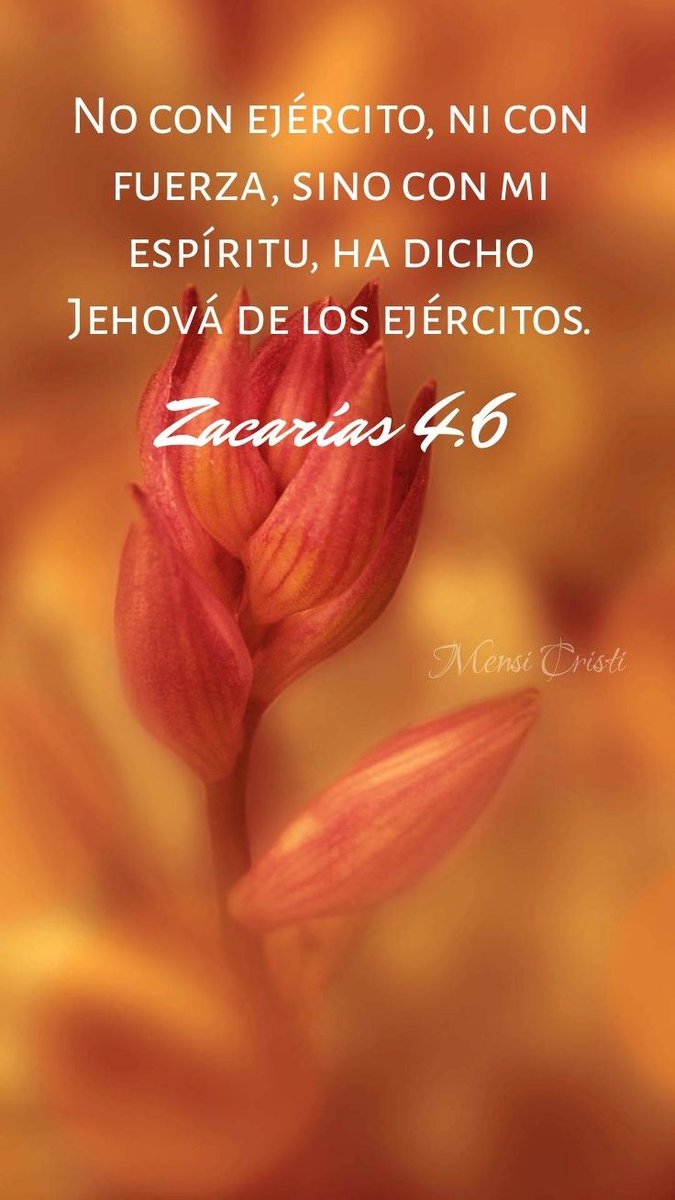 Karina Martínez tweet media