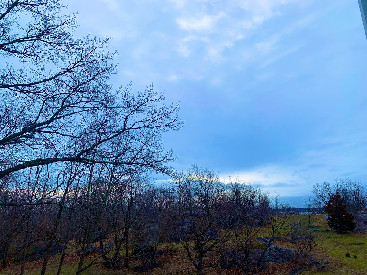 Today IS the 40th annual Savin Hill Park Cleanup. Start your rakes. Coffee and donuts at the top of the hill.