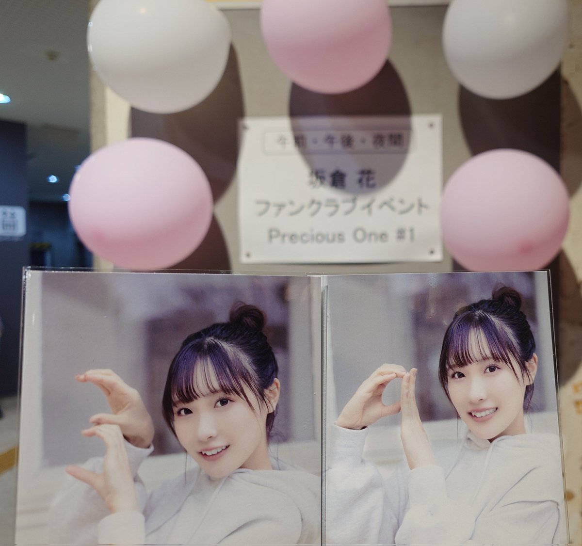 cani_pilaf's tweet image. 39(さく)！！！
さくねこ最高です😭😭😭
#PreciousOne