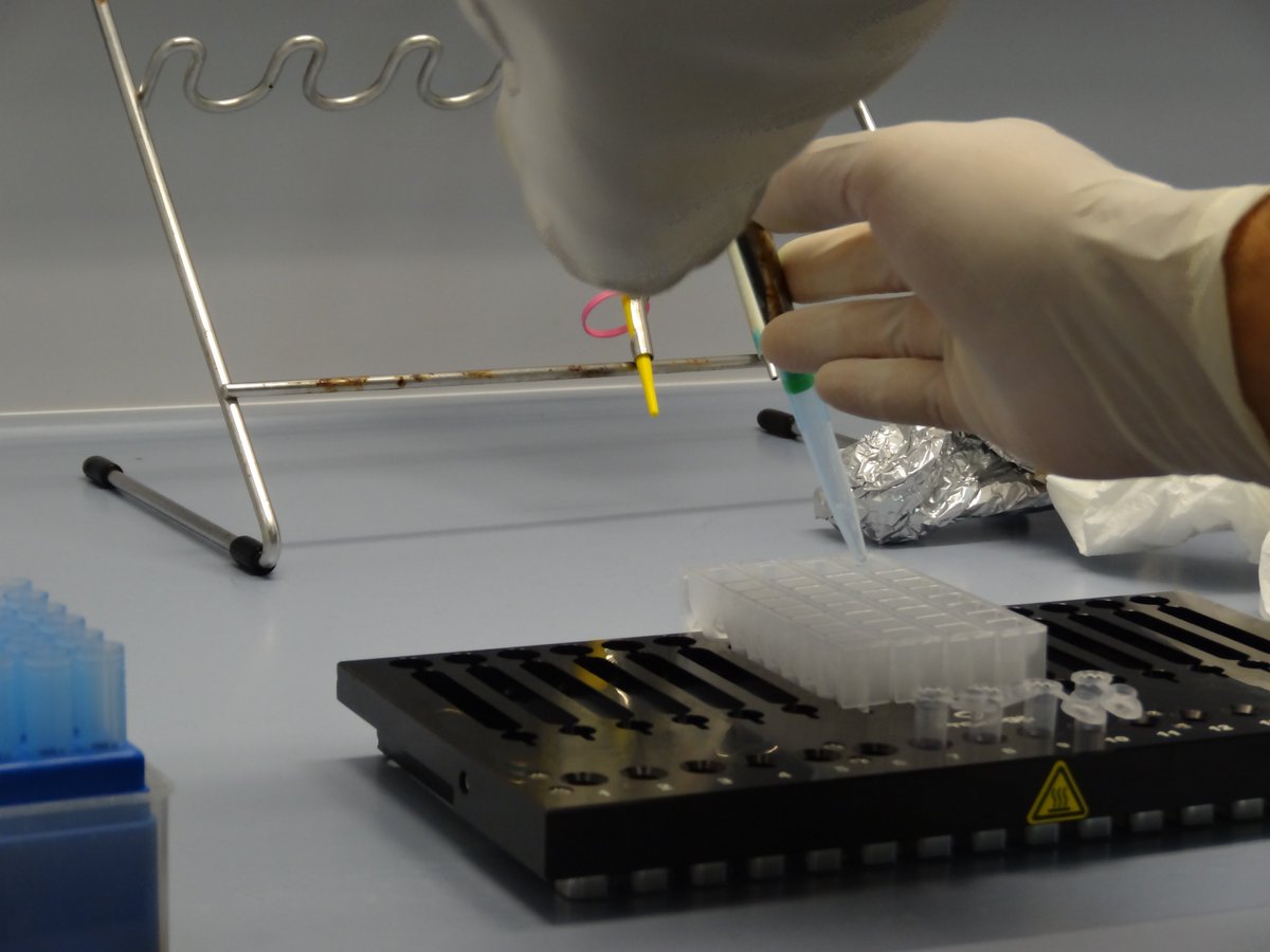 Praza Pública (@prazapublica) on Twitter photo <a href="/InvestiGal/">InvestiGal</a> "Estas accións reproducen dinámicas universitarias sobradamente coñecidas que levaron a unha endogamia crónica no noso sistema, e que non fan máis que lastrar o seu desenvolvemento e posicionamento no ecosistema internacional", conclúe Investigal praza.gal/ciencia-e-tecn… <a href="/InvestiGal/">InvestiGal</a> "Estas accións reproducen dinámicas universitarias sobradamente coñecidas que levaron a unha endogamia crónica no noso sistema, e que non fan máis que lastrar o seu desenvolvemento e posicionamento no ecosistema internacional", conclúe Investigal praza.gal/ciencia-e-tecn…