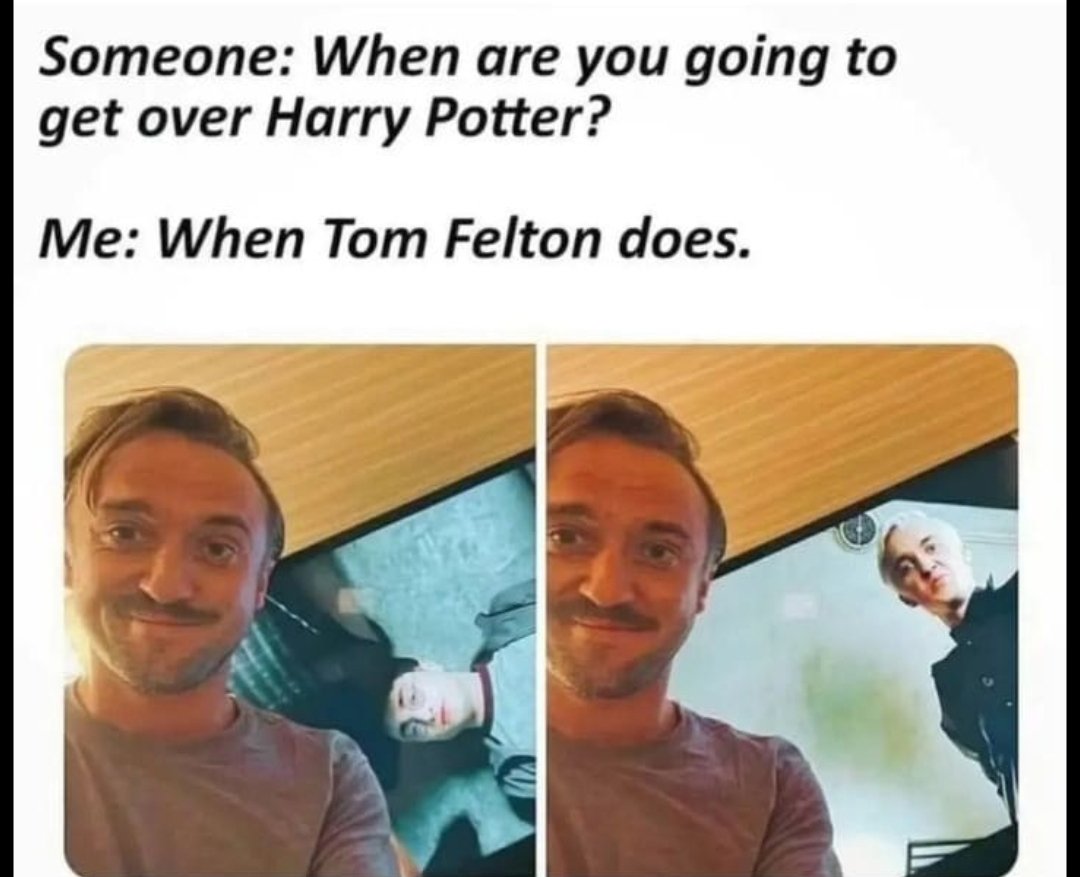 He's as much of a Potterhead as us 😋 #harrypotter #dracomalfoy #tomfelton