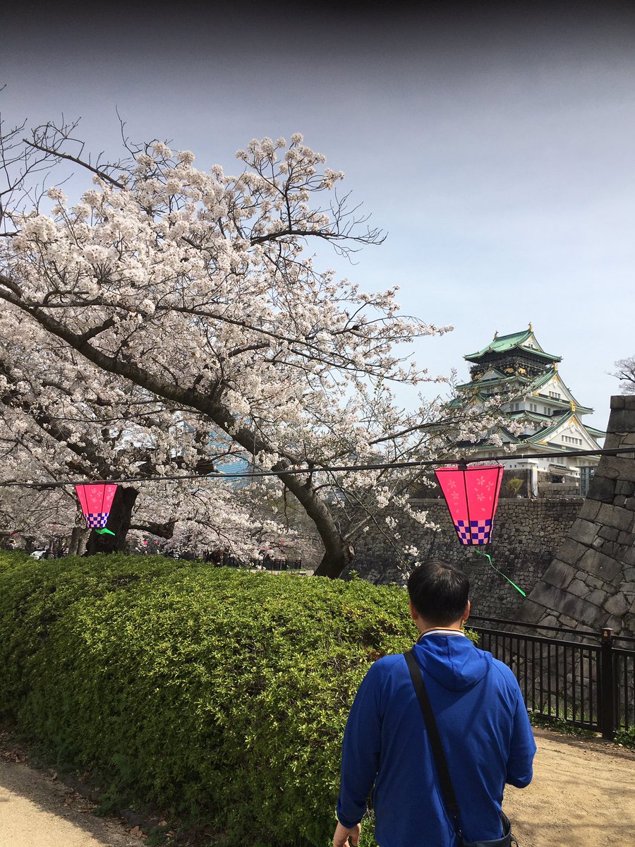 batahiro's tweet photo. 本日4月6日（土）お昼より、ひかりハム同好会恒例春のお花見アイボール会大阪城西の丸庭園にて開催させていただきました。9名様の参加いただき誠にありがとうございました。���しに盛り上がって3時間も過ごすことが出来ました。 https://t.co/M4Q4MagBPy