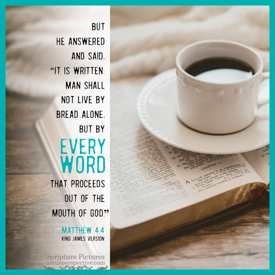 But He answered and said, 'It is written: Man shall not live by bread alone, but by every word that proceeds out of the mouth of God.'
#Matthew 4:4 #Bible #Gospels #Yeshua #Jesus #ThingsJesusSaid #VerseOfTheDay #DailyBread #Scripture #ScripturePictures
alittleperspective.com/welcome-to-scr…