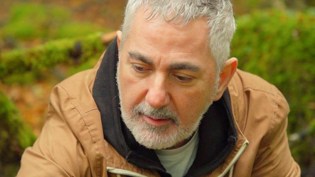 El Señor de los Bosques ESDLB tweet media