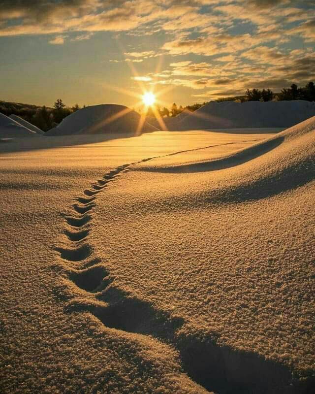 💚🇸🇦🪐(مــلاك_الروح 🩷/ tweet media