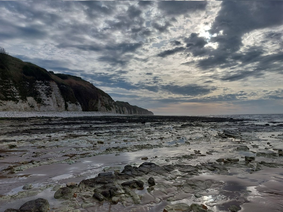 Kate Couzens tweet media