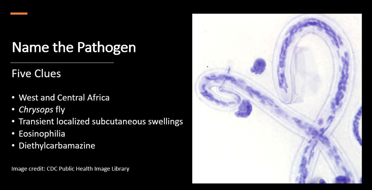 Name the Pathogen Five Clues 1. West and Central Africa 2. Chrysops 3. Transient localized subcutaneous swellings 4. Eosinophila 5. Diethylcarbamazine