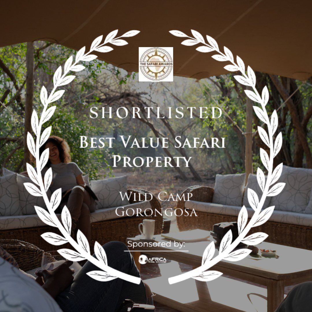 Wild Camp #Gorongosa is on the #Safari Awards 2024 shortlist! Please continue to show your support for Wild Camp by clicking on the link, choosing the category, and rating us out of five stars. Thank you! thesafariawards.com/vote/rate/wild… Contact us: safari@gorongosa.net