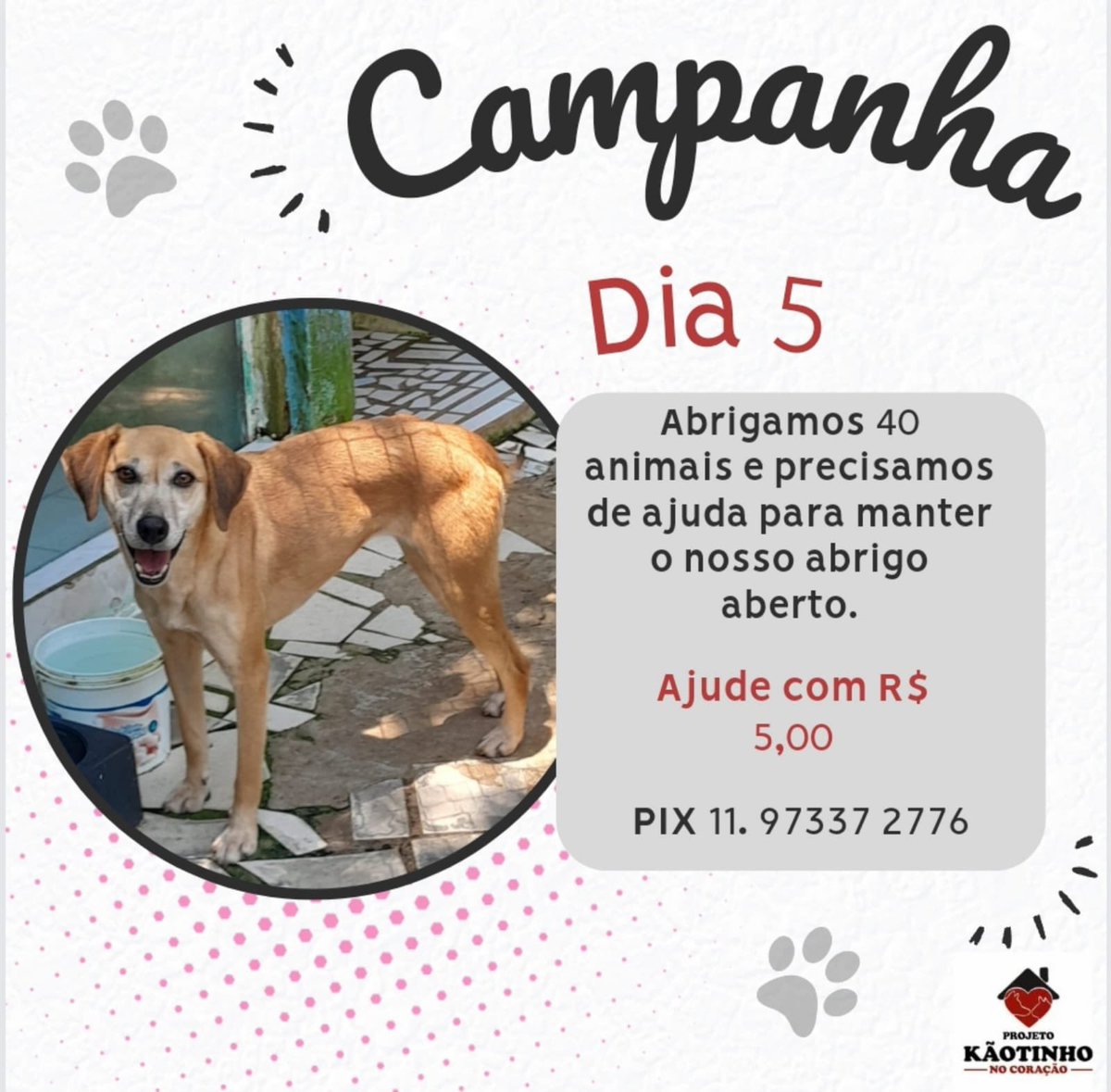 Pessoal, bom dia. O voluntário aqui se atrasou, mas ainda está em tempo da nossa CAMPANHA DO PIX, que acontece todo dia 5! Quem puder, nos ajude com R$5, o valor é todo revertido em ração e produtos de limpeza 🙏