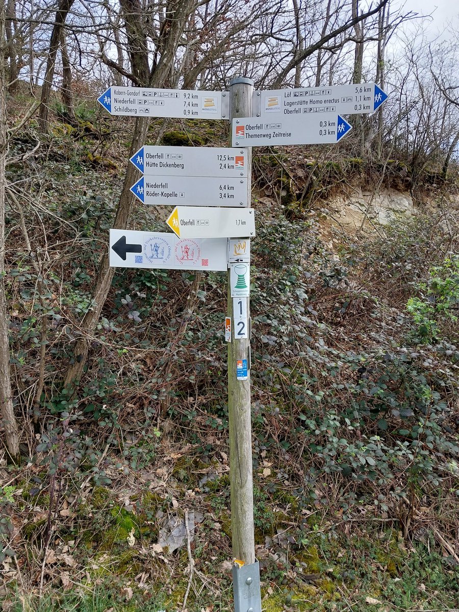 First #FingerpostFriday post for a while....and a day late too. A very busy signpost, but lots of walking opportunities, near Oberfell in the Mosel area of #Germany.