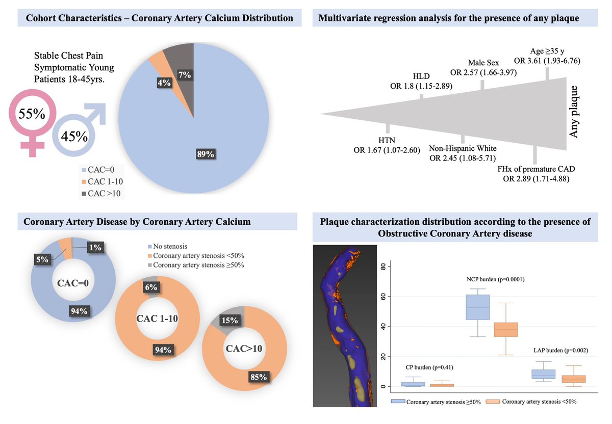 Interaction Between Risk Factors, Coronary Calcium, and CCTA Plaque Characteristics in Patients Age 18-45 academic.oup.com/ehjcimaging/ar… @danilorenzatti @pamelapina_s @CFernandezHazim @AndreaScotti21 @ToshikiKuno @azeemlatib @aschenonegiugni @khurramn1 @RonBlankstein @MichaelJBlaha…