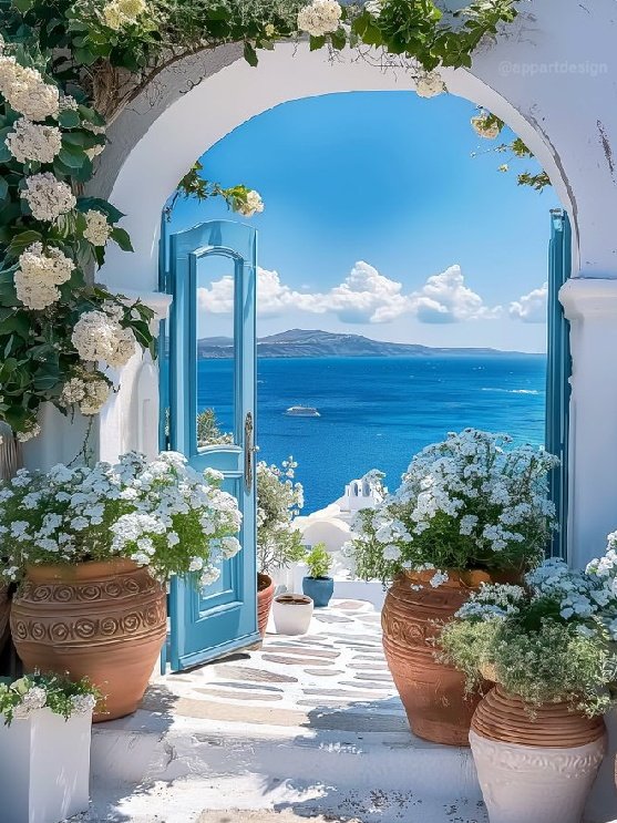 🤍🌺💮 We need to multiply the birds in the sky, Fish in the water,smiles on faces, Love in hearts, Everything that is good and beautiful in the world. May your day be as beautiful as roses. Santorini -Greece 🇬🇷