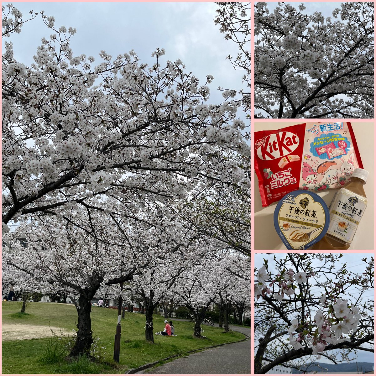 「先生さようなら削除事件」から、テンション下がり気味やったけど、近所の公園に、桜、見に行って、帰りに、くら寿司行って、お買い物行って、買いたかったもの買って、感謝祭見て、テンション、少し回復〜🥲💙
お優しいリプくれた方々も、ほんとにありがとでした🥹💙