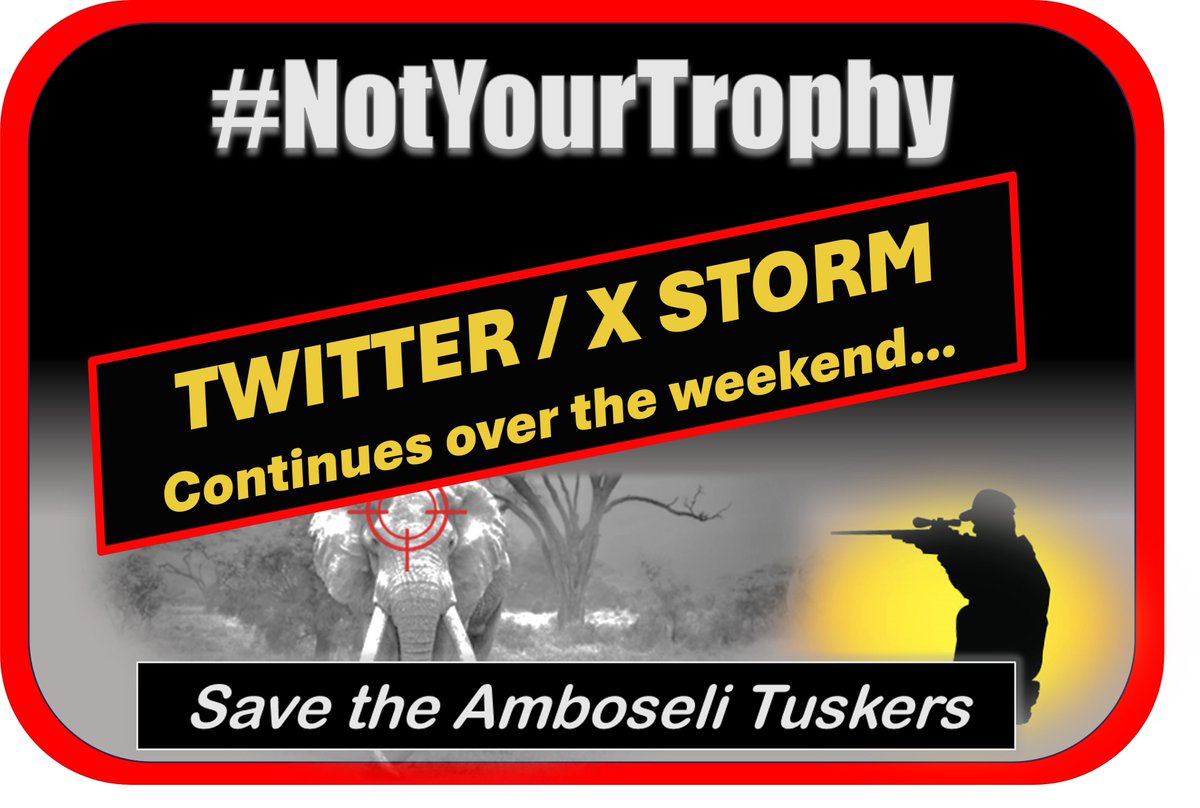 This is the TWEETSTORM from April 2024. NOTHING has changed except for the number of elephants killed, which has gone from 5 to 7, we can use the tweets directly. Thank you for participating.
#NotYourTrophy
#AmboseliTuskers
🔻 sites.google.com/view/amboselis…