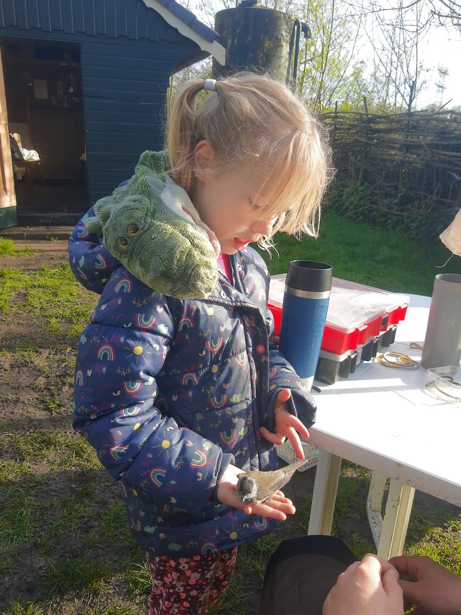 In the field with @UKHSA @_BTO @APHAgovuk to show our #onehealth surveillance&research scheme for arboviruses, a collaborative effort with @niooknaw bird ringing scheme. >180 bird ringers trained to sample birds and mosquitoes. Next generation is lined up ; )