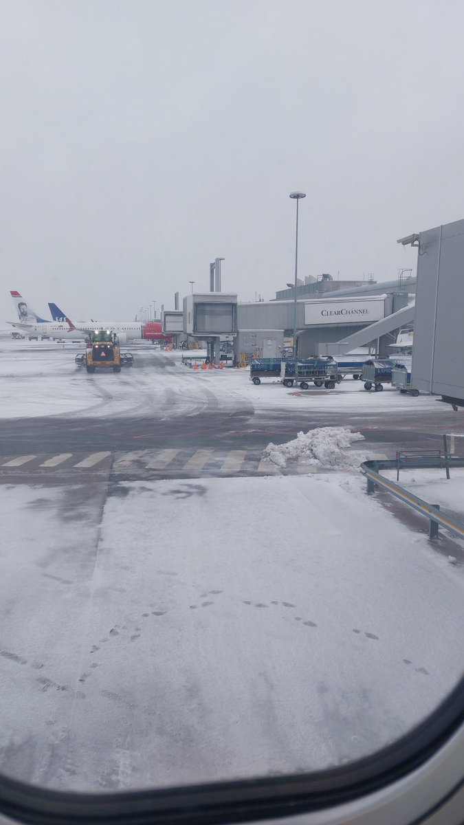 Erasmus Lycée Pâris tweet media