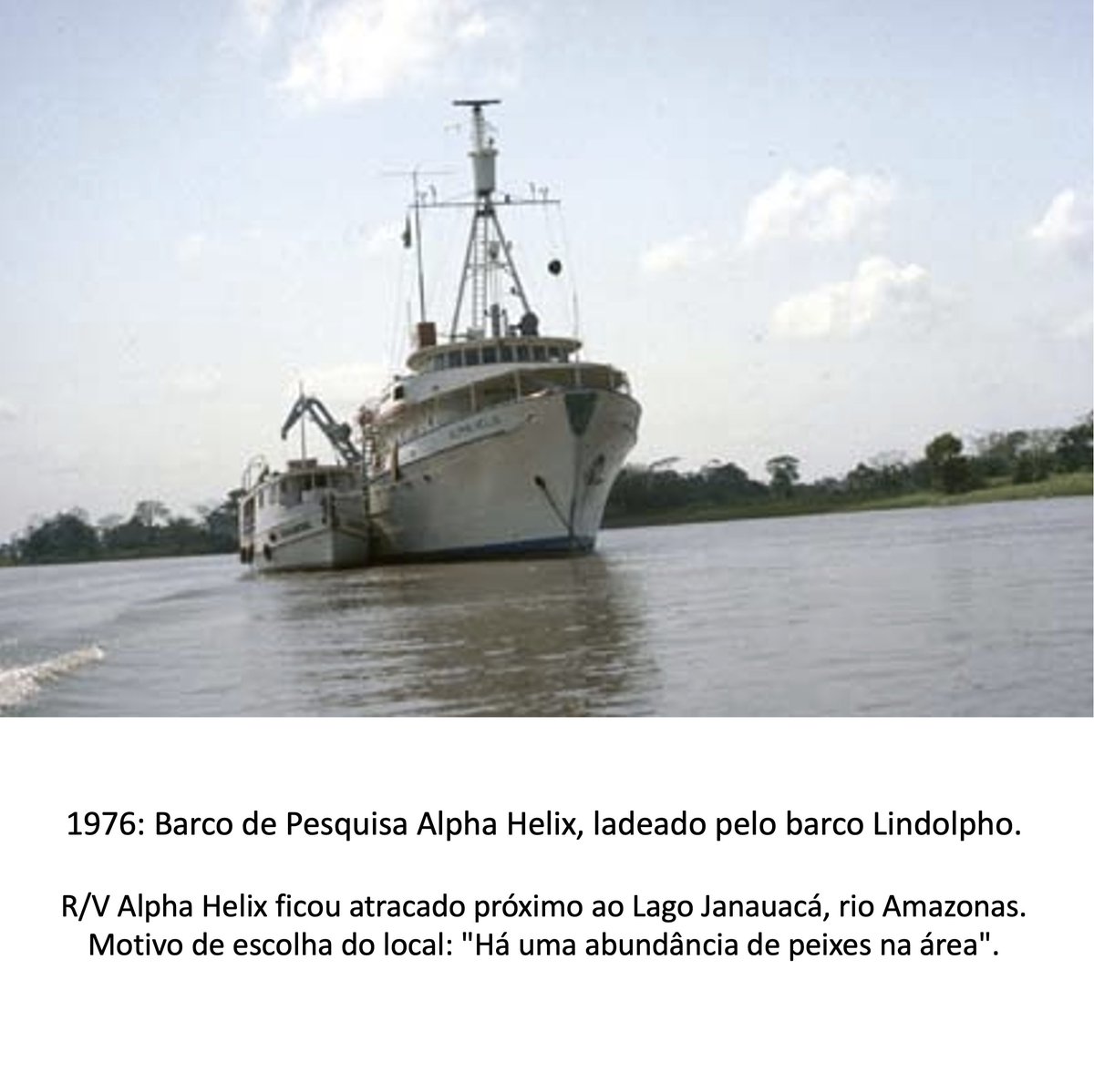 ALPHA HELIX: Barco de Pesquisa
Em 1976 o Alpha Heliz foi o laboratório de grupo de pesquisas, chefiado pelo Prof. Dave Randall, que fez anvançar os estudos da Fisiologia e Bioquímica dos peixes da Amazônia. Os artigos têm repercussão até hoje.
