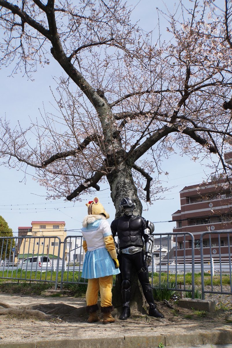 先週の桜
#今日の1枚 
#ブラスタージョー 
#ジョエ
#ローカルヒーロー
#格好いいと思ったらRT