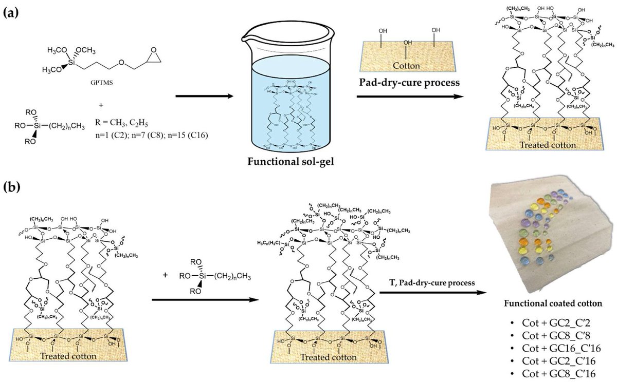 👉 #highlycitedpaper

📜 Functional Silane-Based #Nanohybrid Materials for the Development of #Hydrophobic and Water-Based Stain Resistant Cotton Fabrics #Coatings

👥 Torsten Textor, Maria Rosaria Plutino et al.

🔗 Read more: bit.ly/43MseUq

#openaccess #nanomaterials