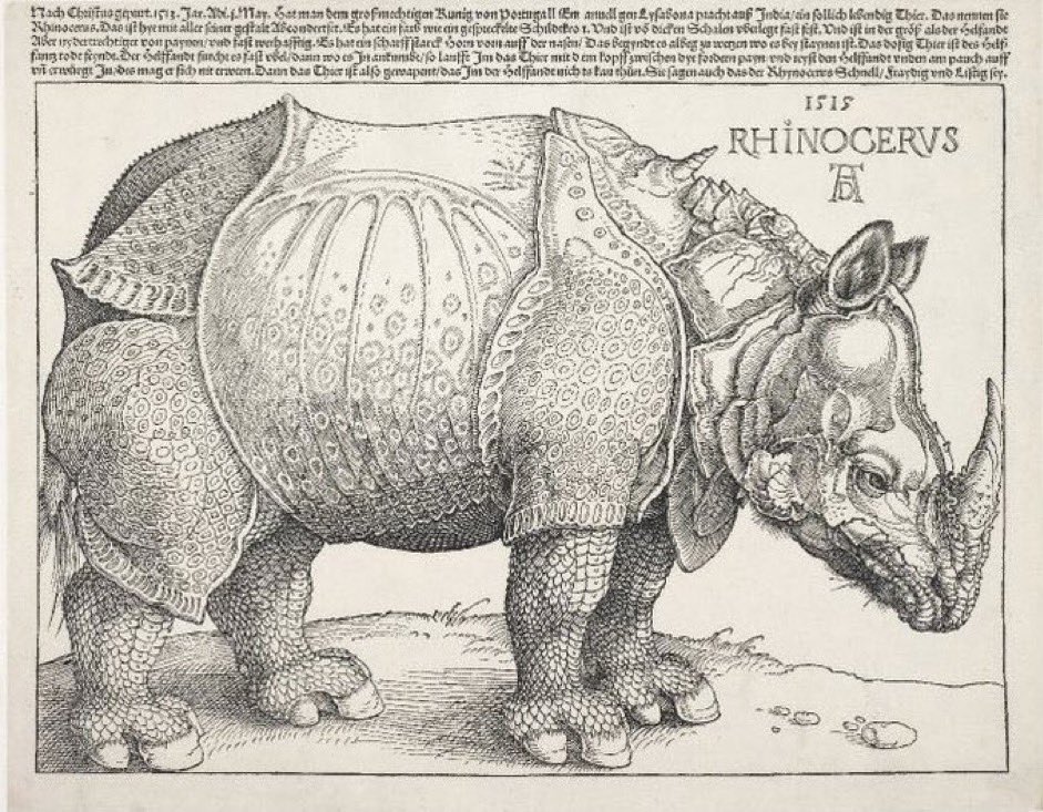 This wonderfully articulated Dürer Rhino seems like a good thing to post right now (BM) The artist died #otd 6 Apr 1528, aged 56.