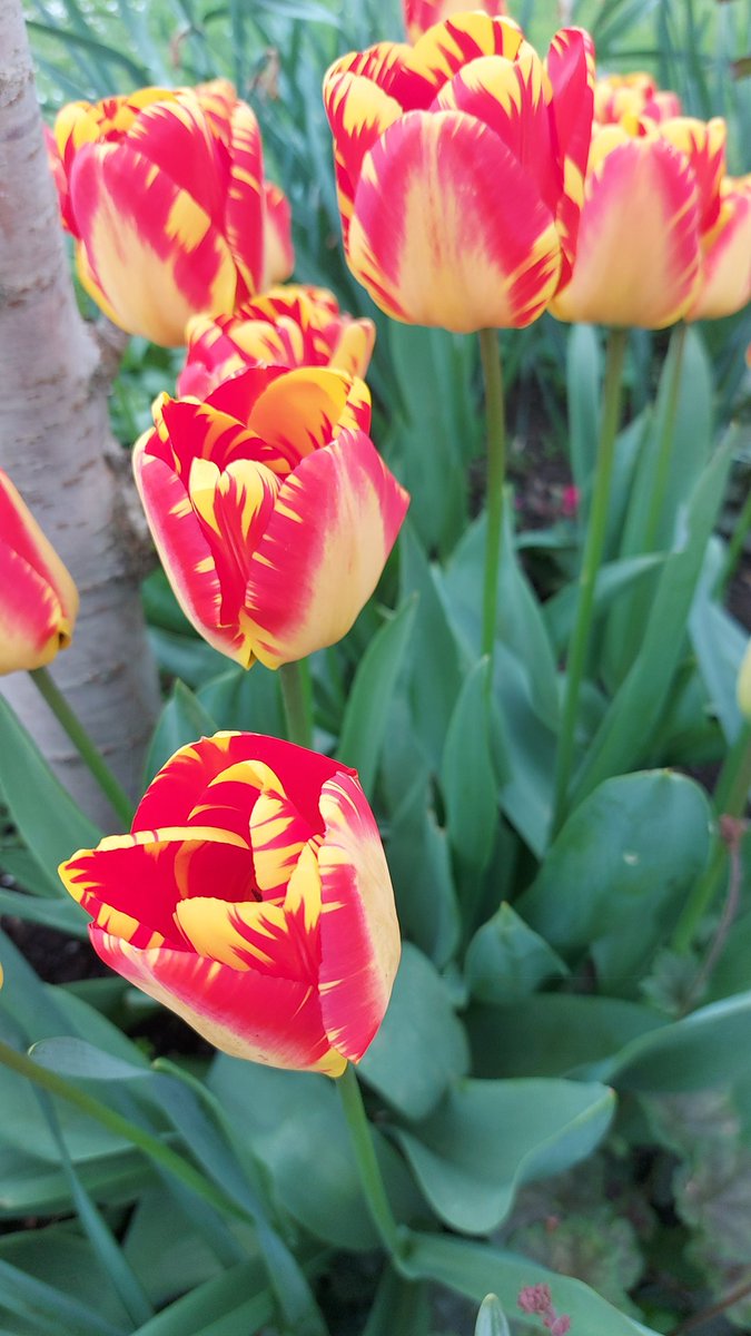 Bon week-end 
<a href="/MarieViargues/">MarieAmélie Viargues</a> <a href="/Agridemain/">#agridemain</a> <a href="/Agridemain/">#agridemain</a> <a href="/Fragritwittos/">FranceAgritwittos♥️</a>