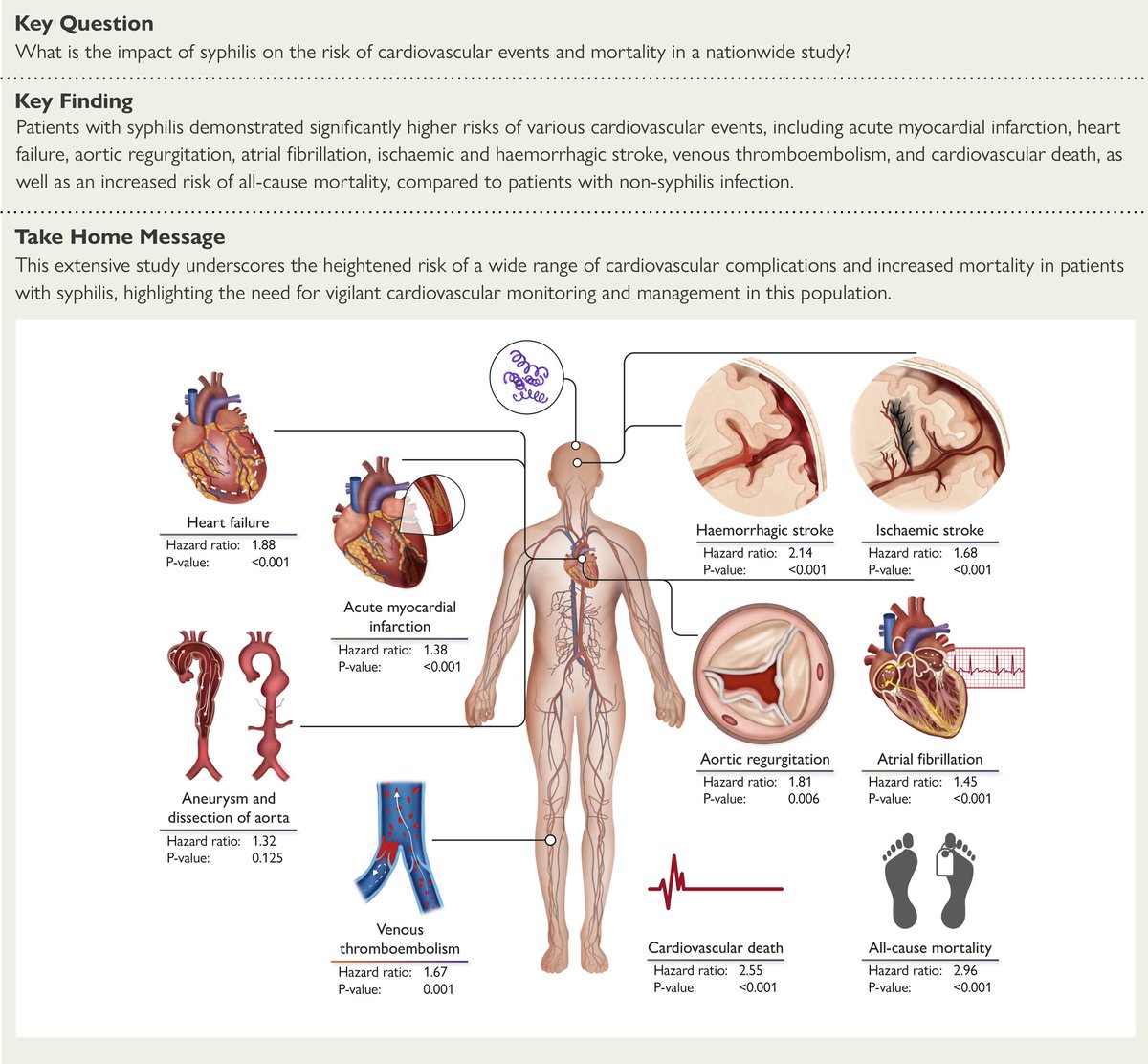 Studies on the impact of syphilis on the cardiovascular system in large populations are limited. New Taiwanese registry provides novel insights doi.org/10.1093/eurhea… #syphilis #AAA #HF #cardiotwitter @ESC_Journals @escardio