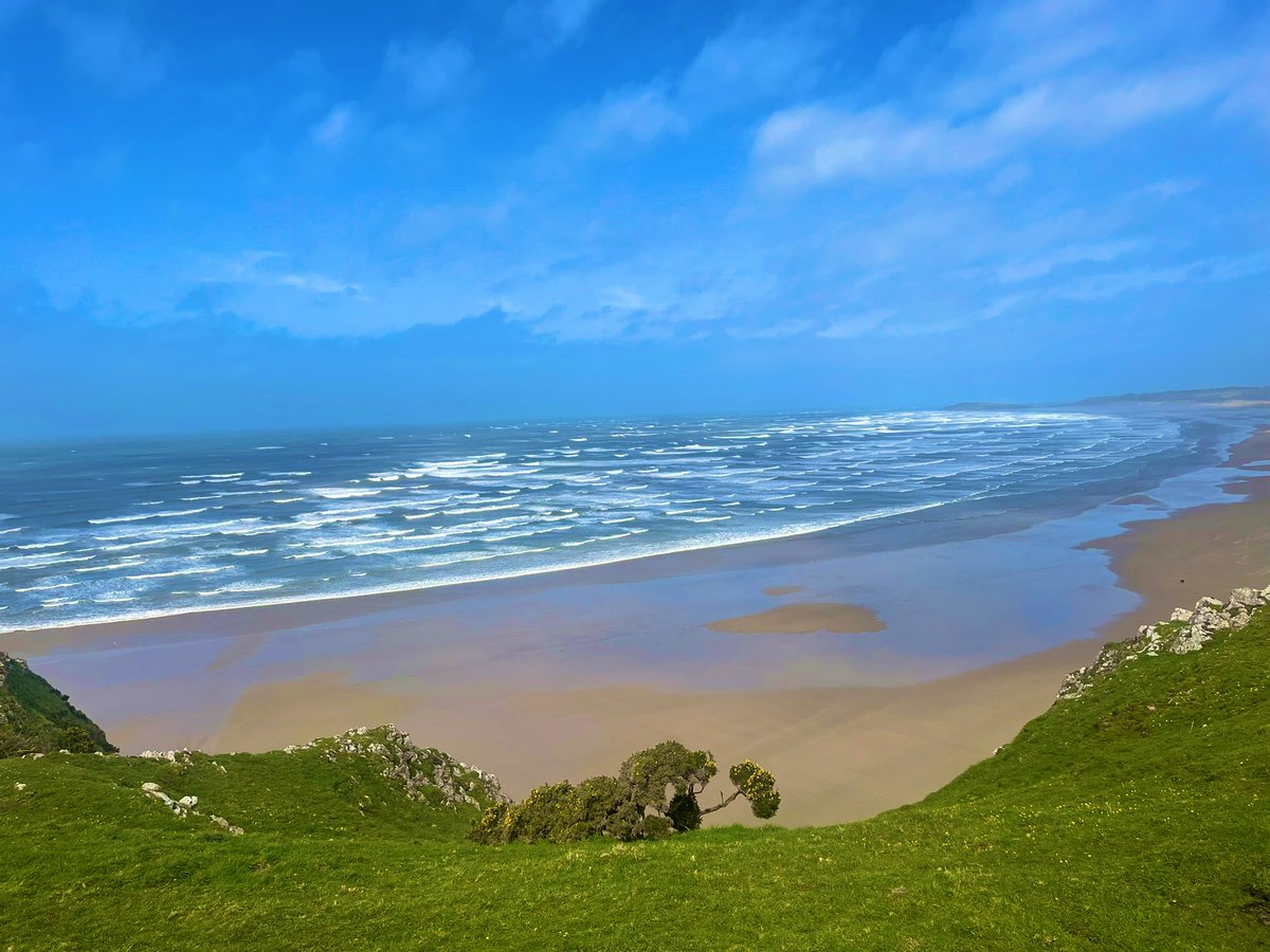 Rhossili spam from this morning’s walk 😍🏴󠁧󠁢󠁷󠁬󠁳󠁿