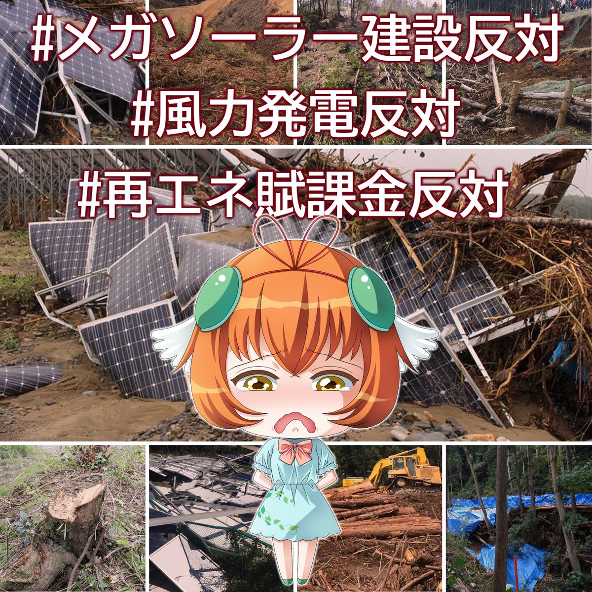 皆さま、どうも今晩は〜❣️
本日も、メガソーラー建設反対ポストデモを始めたいと思います
宜しくお願い致します❣️
🙇‍♀️🇯🇵✨
#メガソーラー建設反対
#風力発電反対
#再エネ賦課金反対
#国立公園の規制緩和反対
#動物さん達の森を護ろう
#子供達の未来に美しい自然を残そう
#国土保全