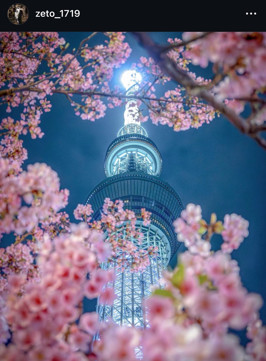 スカイツリー／Tokyo Skytree on X