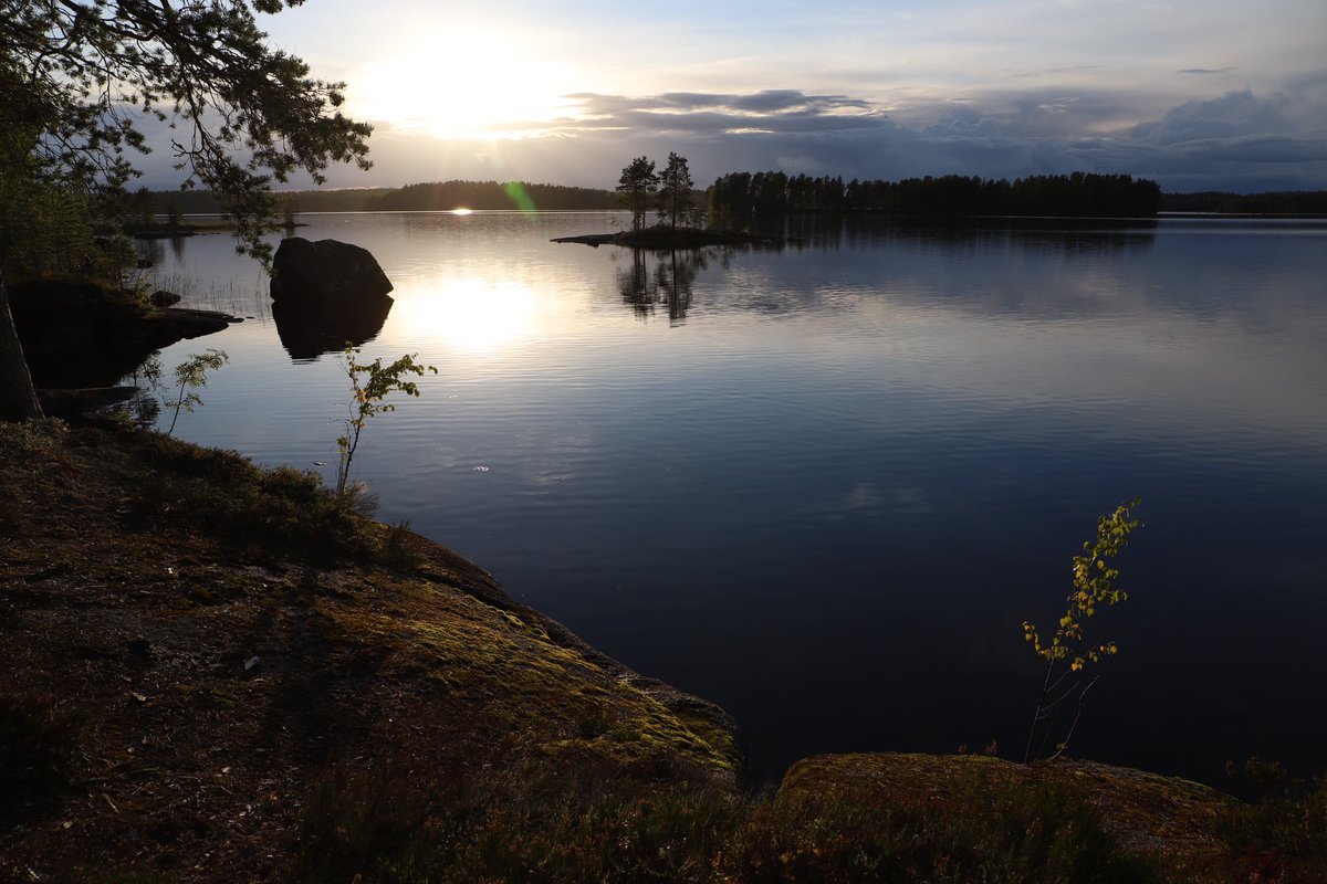 Ennallistamisasetusta kritisoitiin siitä, että se on epäedullinen Suomelle. Suomen luonnolle aiheutuneiden vahinkojen korjaamiseen menee liikaa suomalaisten rahaa. En ymmärrä ollenkaan. Eihän isänmaamme ole rahaa, vaan tämä maa.