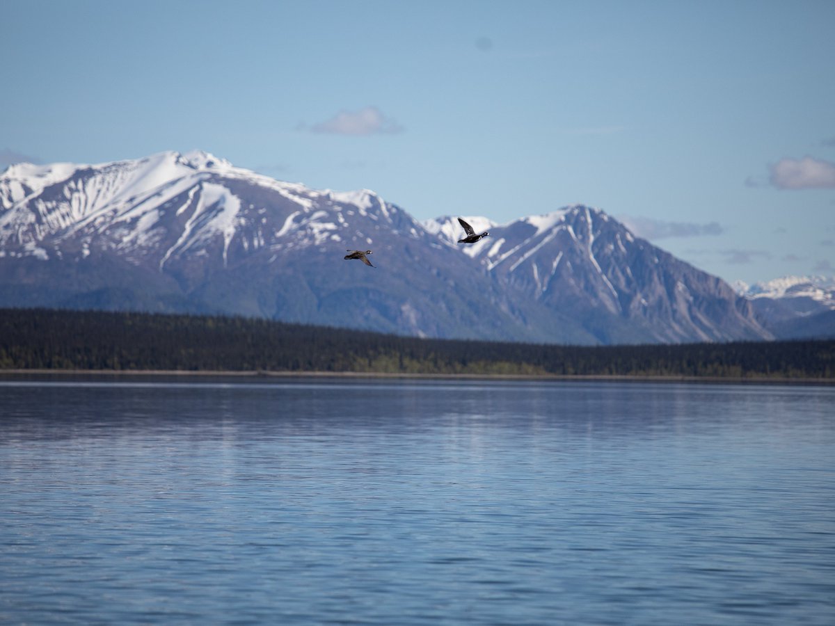Franklin_Graham's tweet image. “Yours, O Lord, is the greatness, the power and the glory, the victory and the majesty; for all that is in heaven and in earth is Yours…” (1 Chronicles 29:11) #Alaska