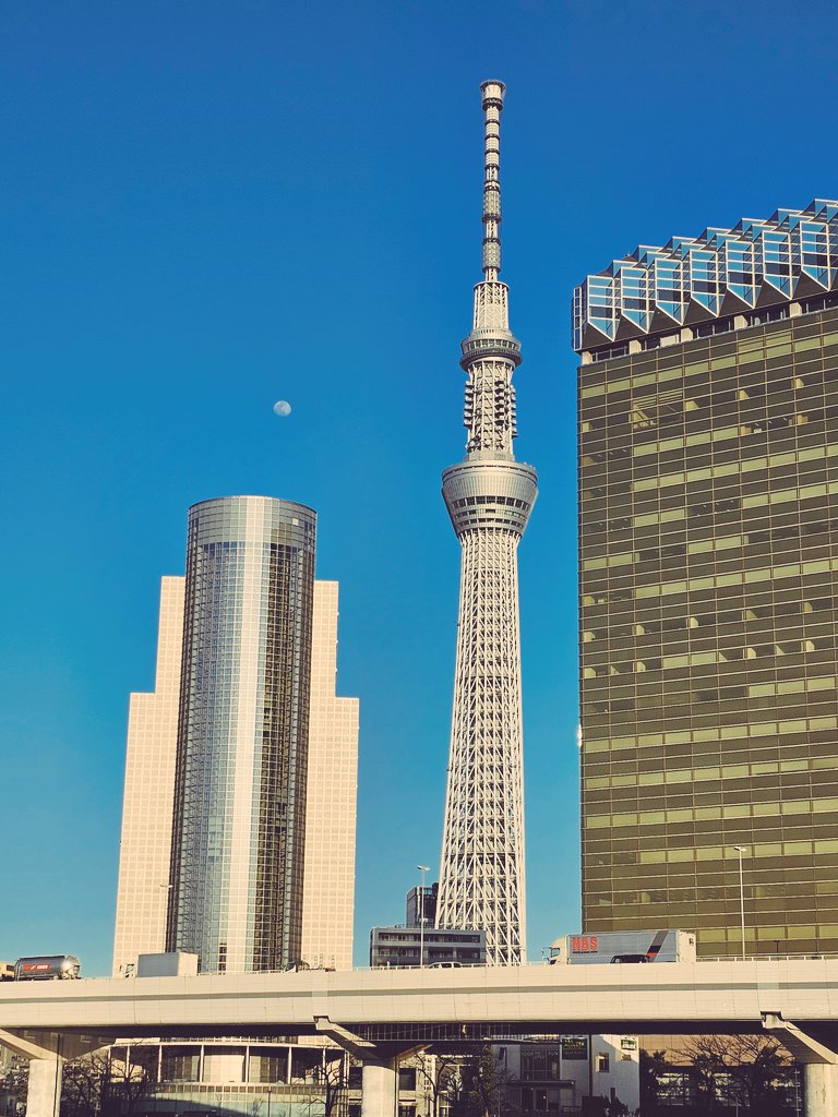 Brandon22055073's tweet photo. Japan has been awesome.  Four trips over 10 months, about 9 weeks in country combined.   The people are amazing,  the food is awesome,  it's clean, it's safe, and the dedication to excellence and value are flat out impressive.   Looking forward to my next trip! https://t.co/Vfbkm4JOnY