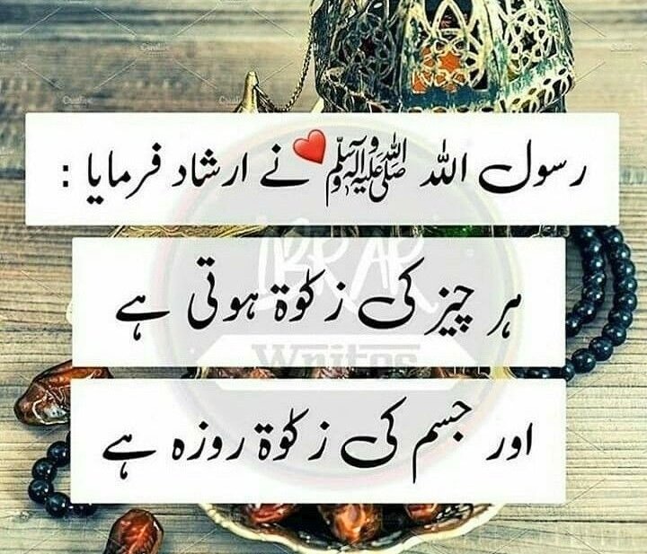 Roza is the purity of our body ✔️💯

Ramadan Kareem ♥️❤️