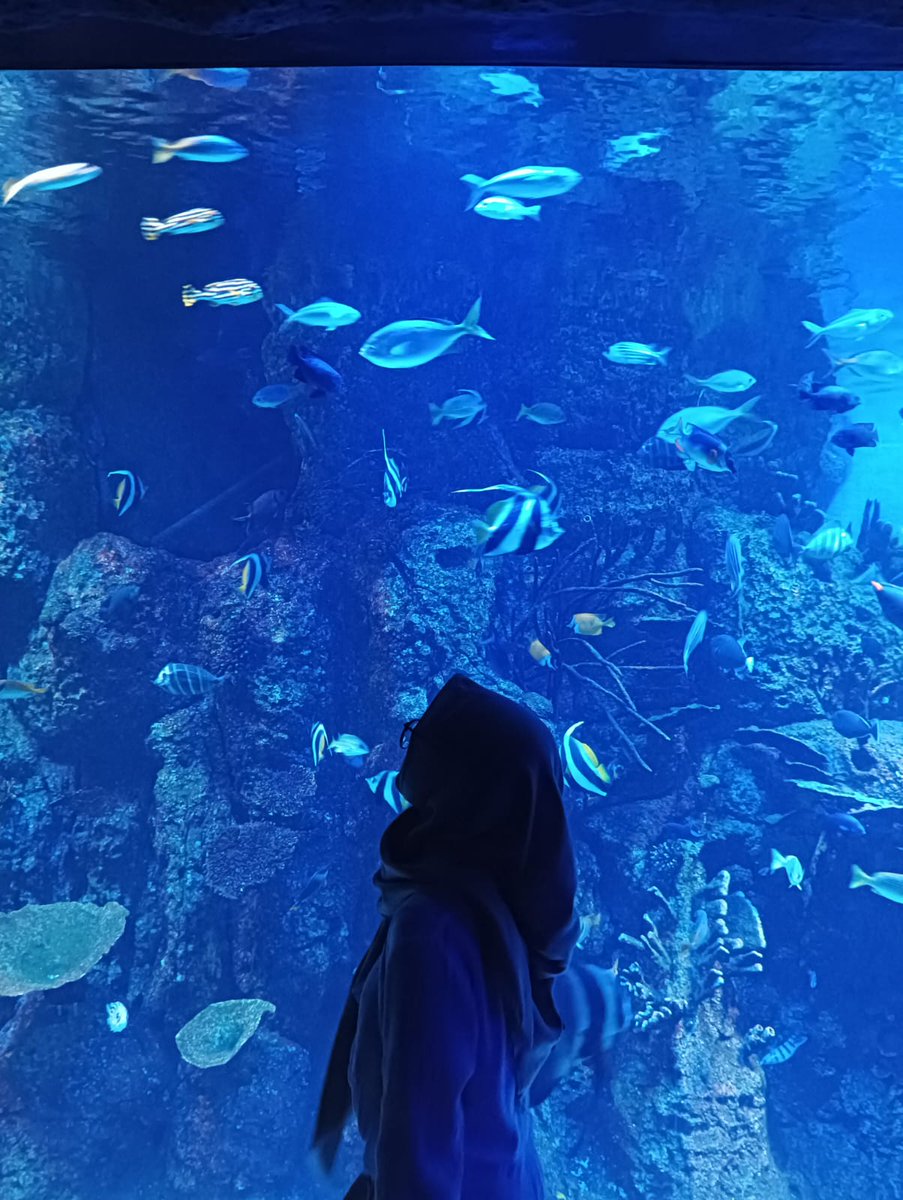 ghaidatsyya's tweet image. aquarium date 🐟🐠
🐱 : kak jae lihat deh ikannya lucu lucu yaaa?
🦁 : iyaaa lucu kayak kamu

#TMSD #TreasureMakerSelcaDay #TREASURE #트레저 #JAEHYUK #YOONJAEHYUK #윤재혁 
@treasuremembers