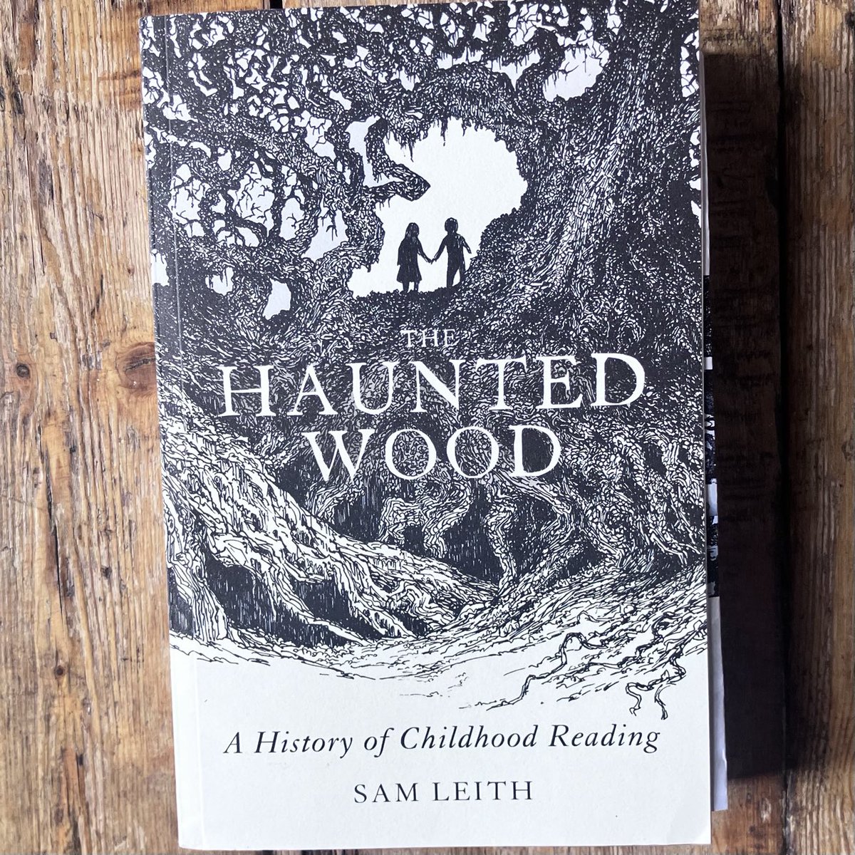Thanks ⁦@OneworldNews⁩ - the forthcoming compendium/analysis of children’s literature from ⁦@questingvole⁩ looks fascinating. Aren’t we all somehow, somewhere, still in that haunted wood? Out 5 Sept