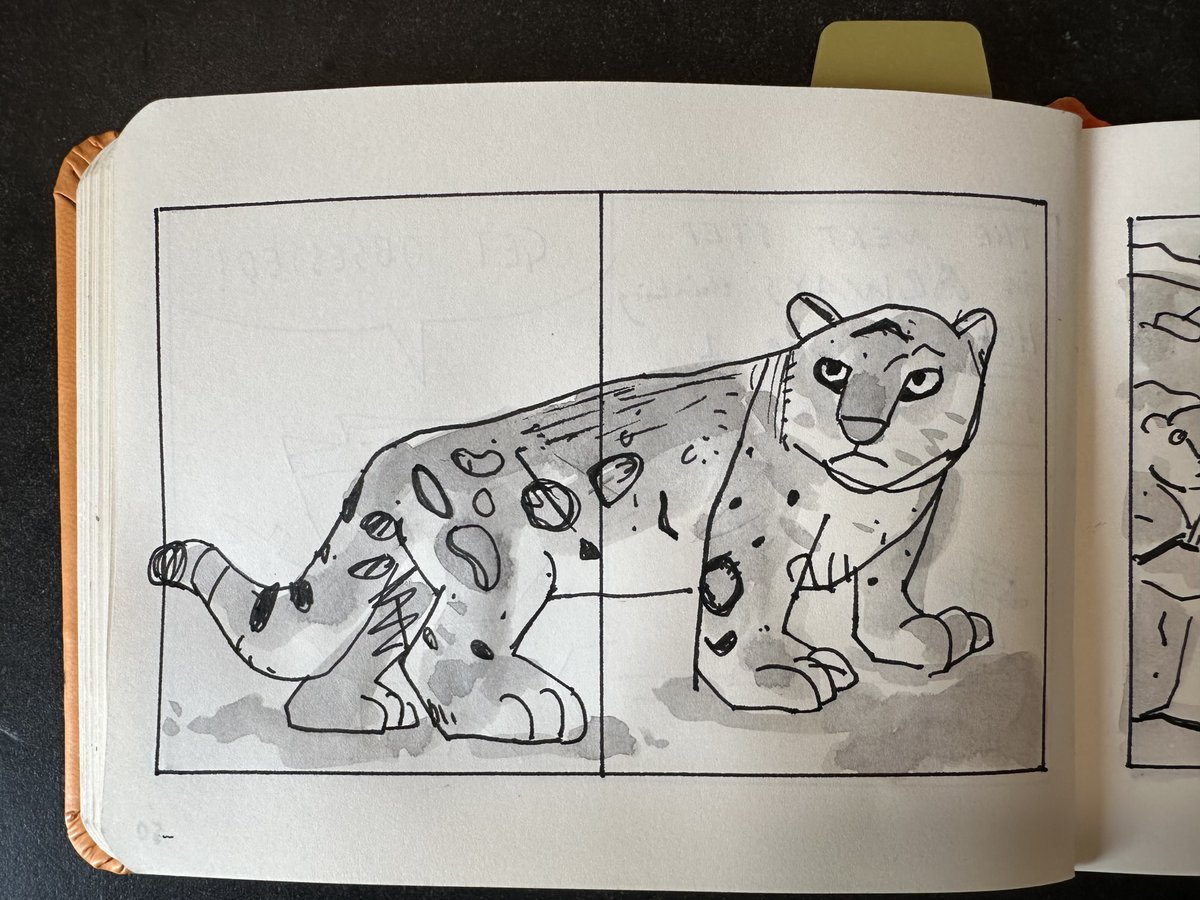 Snow leopard #sketch