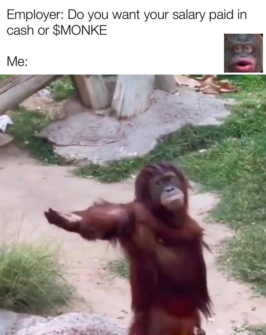 4pf_irl's tweet photo. Bring the monke #Monkecoin @_Monkecoin https://t.co/Z4E0luO08t